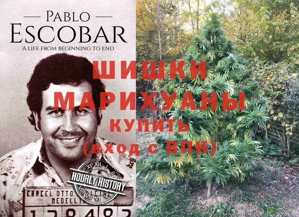прущие крисы Михайлов