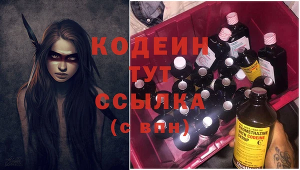 хмурый Мегион