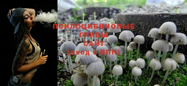 mix Медногорск