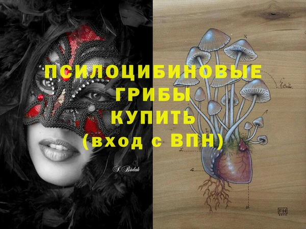 mix Медногорск