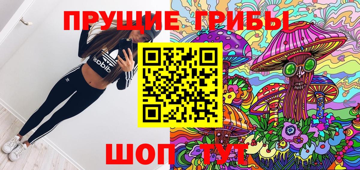 Михайловск  магазин  наркотиков  Вход с VPN  Псилоцибиновые грибы прущие грибы 